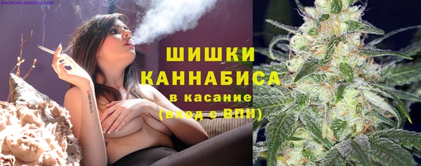 гашик Гусиноозёрск