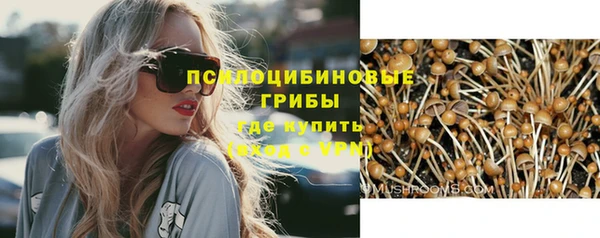 не бодяженный Гусь-Хрустальный