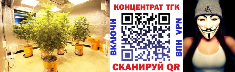 ТГК концентрат  Гусь-Хрустальный 