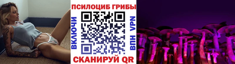 нарко площадка наркотические препараты  Гусь-Хрустальный  Галлюциногенные грибы Psilocybine cubensis 