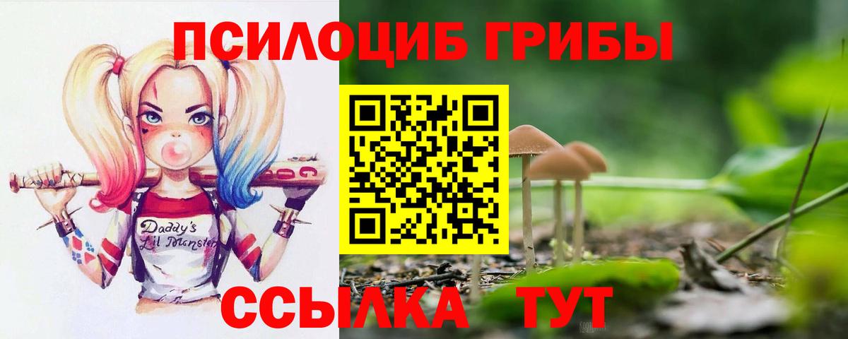 Гусь-Хрустальный  Псилоцибиновые грибы GOLDEN TEACHER  Вход с VPN 