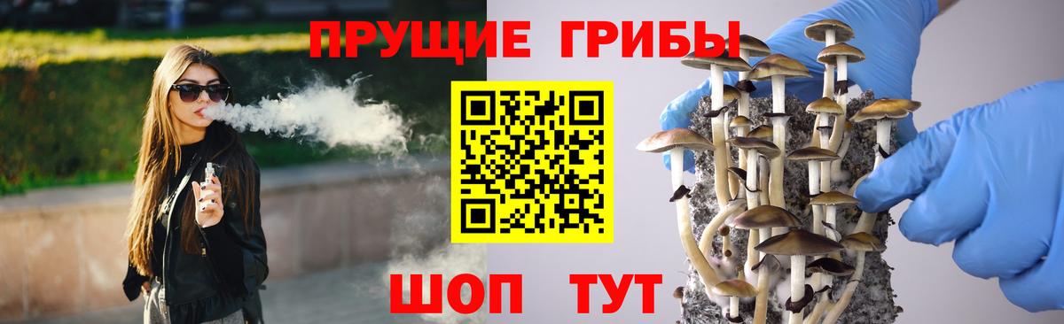 Псилоцибиновые грибы ЛСД Гусь-Хрустальный